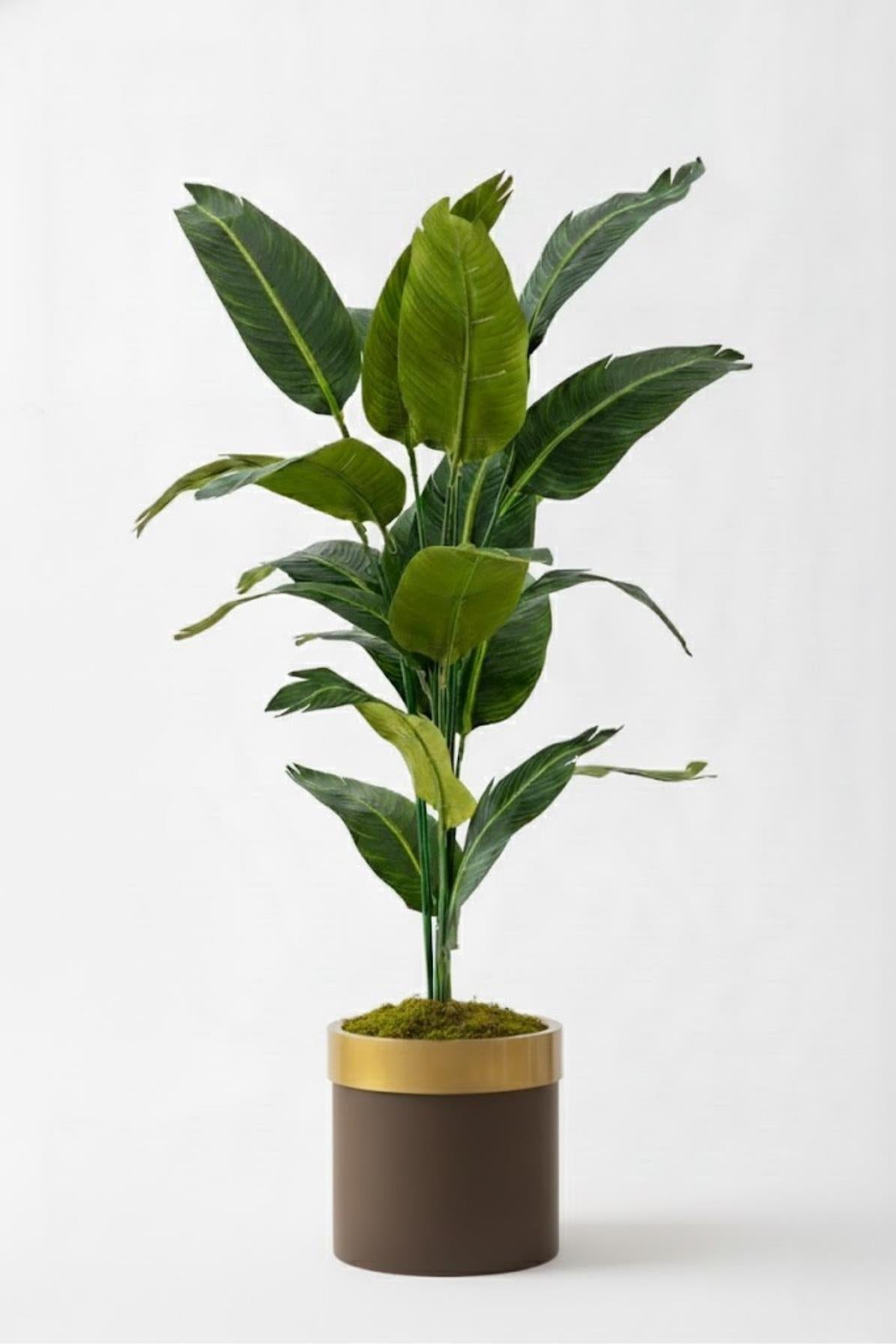 Yapay Starliçe Ağacı 130 Cm Kahverengi Gold Saksı