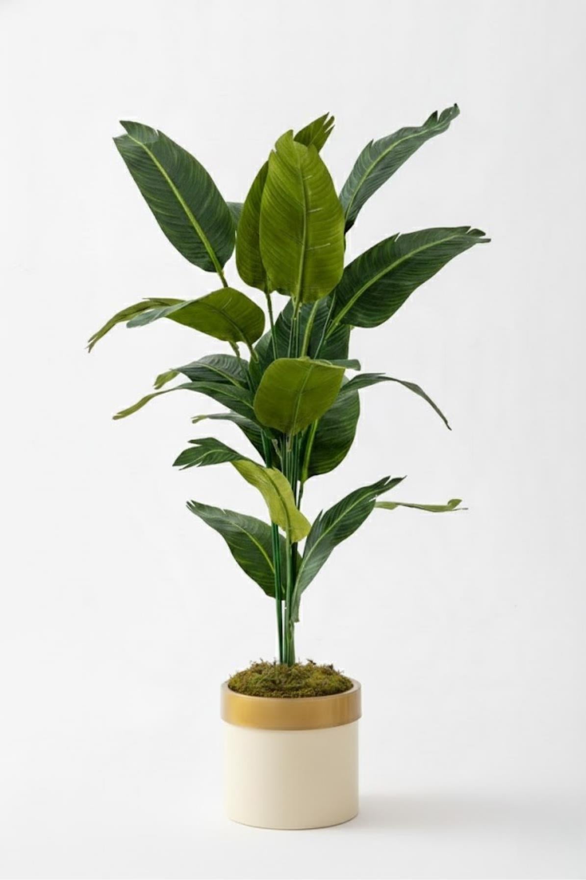 Yapay Starliçe Ağacı 130 Cm Krem Gold Saksı