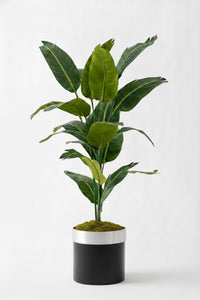 Yapay Starliçe Ağacı 130 Cm Siyah Gümüş Saksı