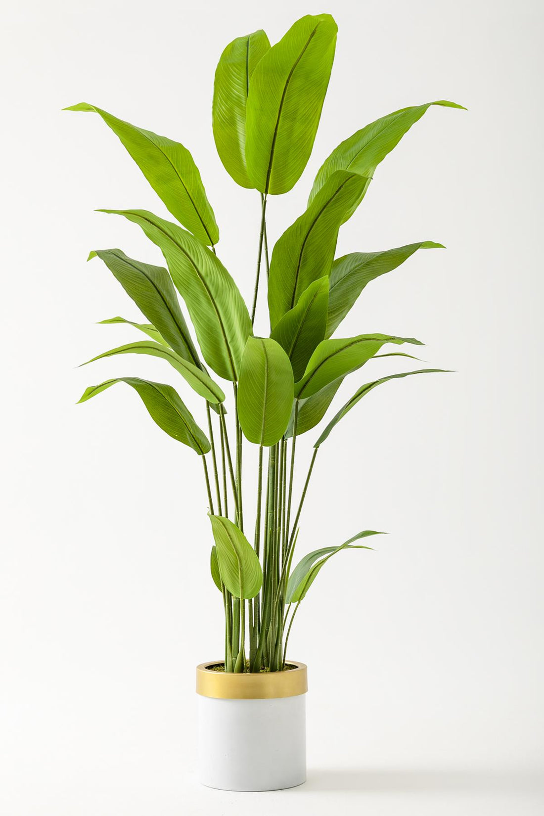 Yapay Starliçe Ağacı 160 Cm Beyaz Gold Metal Saksı