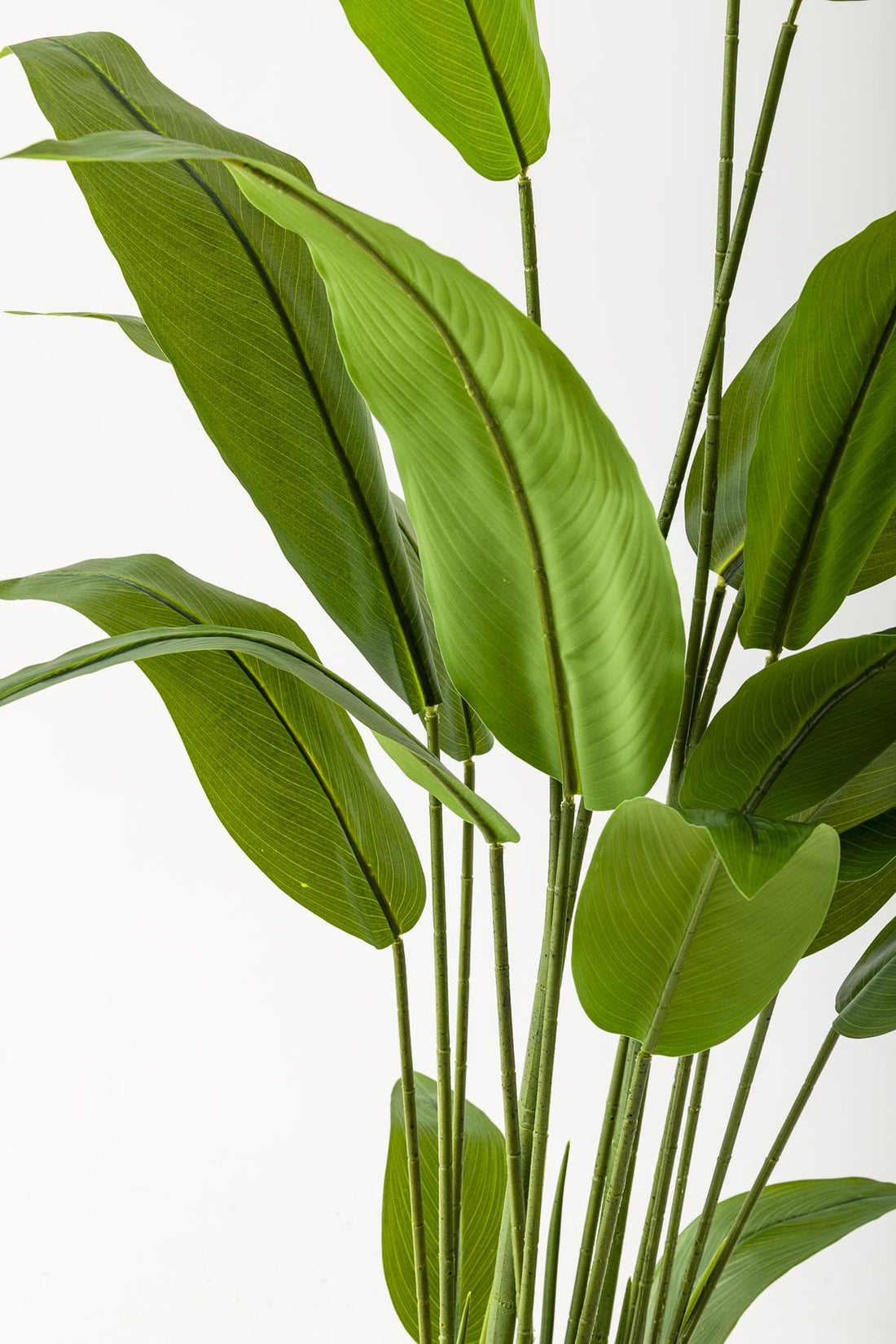 Yapay Starliçe Ağacı 160 Cm Beyaz Gold Metal Saksı