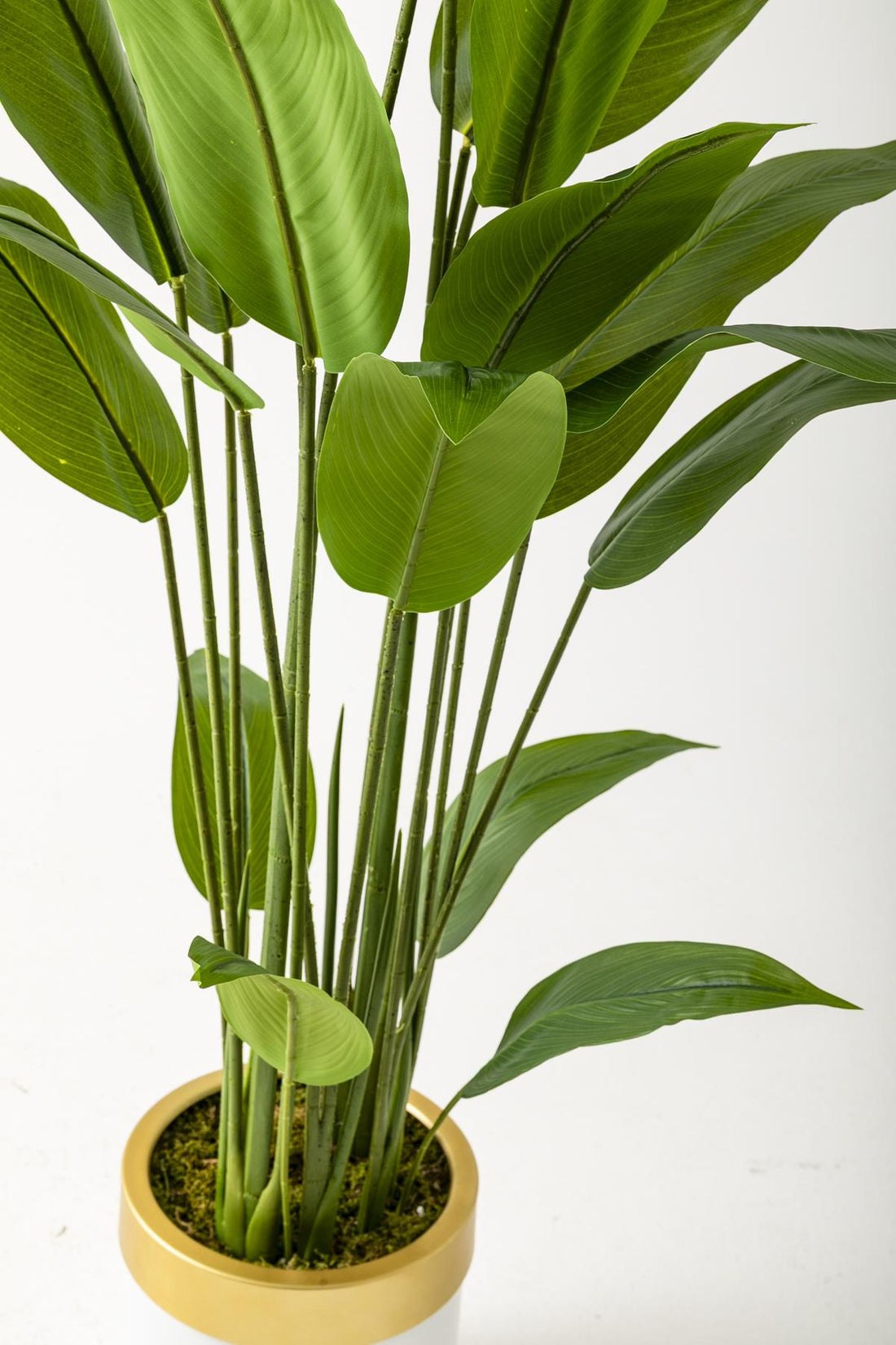 Yapay Starliçe Ağacı 160 Cm Beyaz Gold Metal Saksı