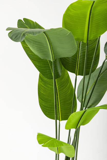 Yapay Starliçe Ağacı 160 Cm Geniş Yapraklı Beyaz Gold Saksı