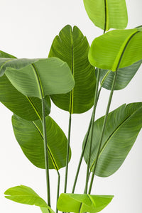 Yapay Starliçe Ağacı 160 Cm Geniş Yapraklı Gold Saksı