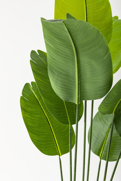 Yapay Starliçe Ağacı 160 Cm Geniş Yapraklı Gümüş Saksı