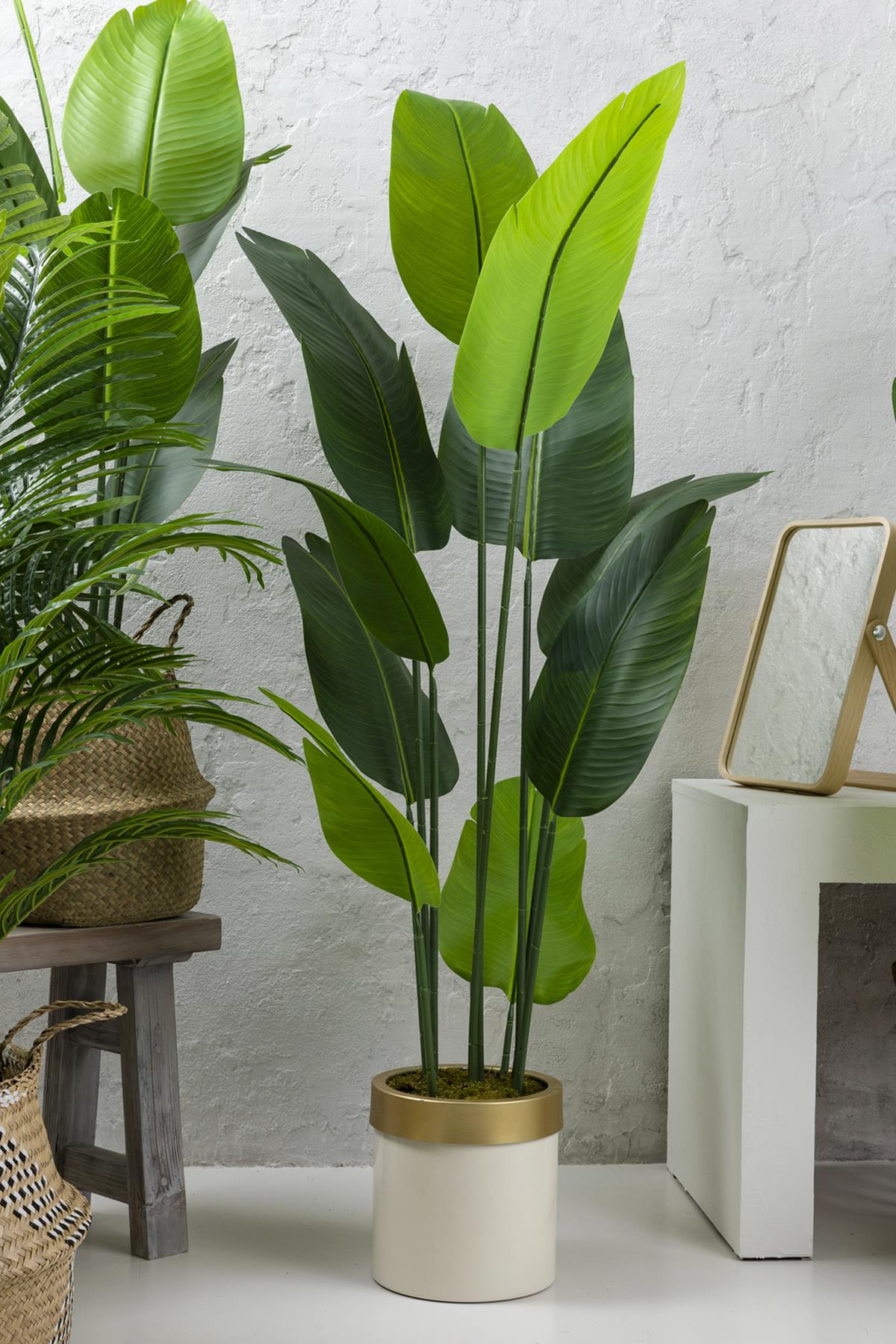 Yapay Starliçe Ağacı 160 Cm Geniş Yapraklı Krem Gold Saksı