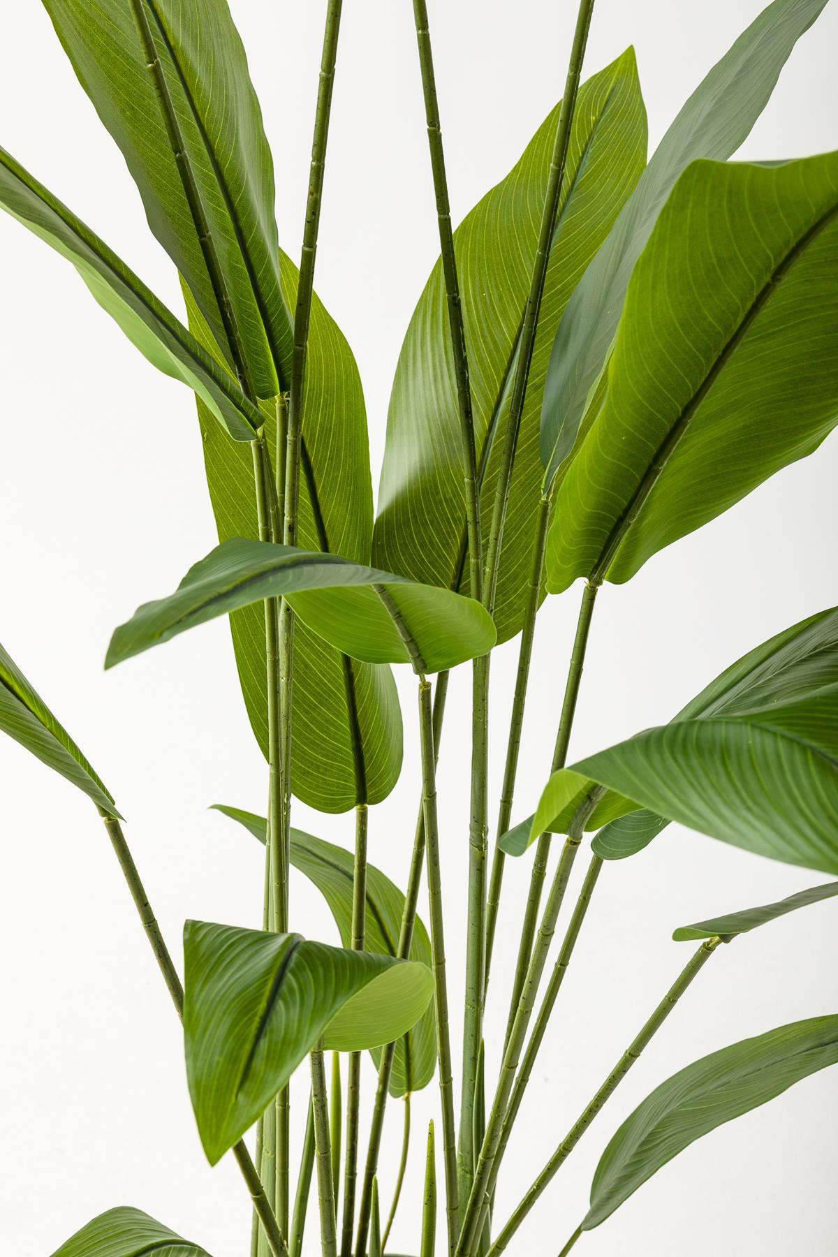 Yapay Starliçe Ağacı 160 Cm Gold Metal Saksı