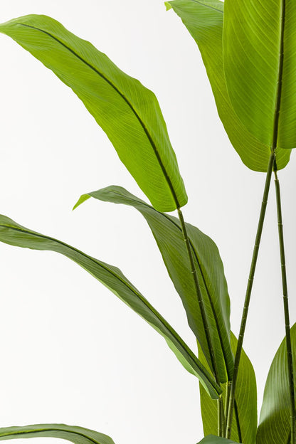 Yapay Starliçe Ağacı 160 Cm Gold Metal Saksı