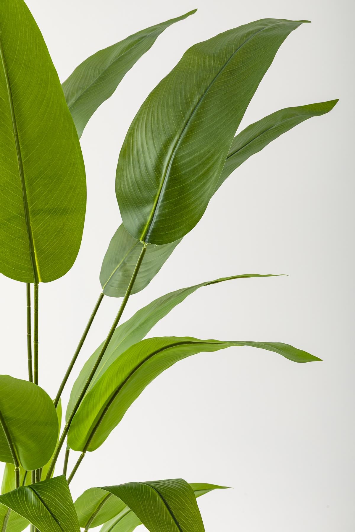 Yapay Starliçe Ağacı 160 Cm Kahverengi Gold Saksı