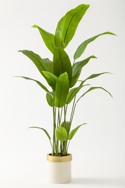 Yapay Starliçe Ağacı 160 Cm Krem Gold Metal Saksı