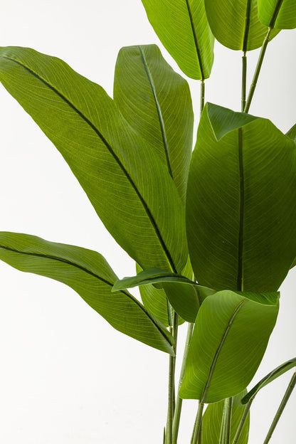 Yapay Starliçe Ağacı 160 Cm Krem Gold Metal Saksı