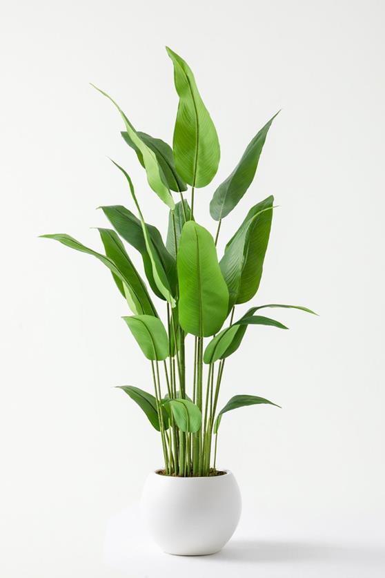 Yapay Starliçe Ağacı 160 Cm Küre Plastik Saksı