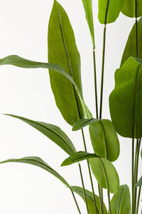 Yapay Starliçe Ağacı 160 Cm Siyah Gümüş Metal Saksı