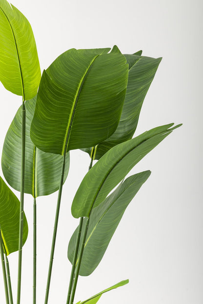 Yapay Starliçe Ağacı 180 Cm Geniş Yapraklı Kahverengi Gold Metal Saksı