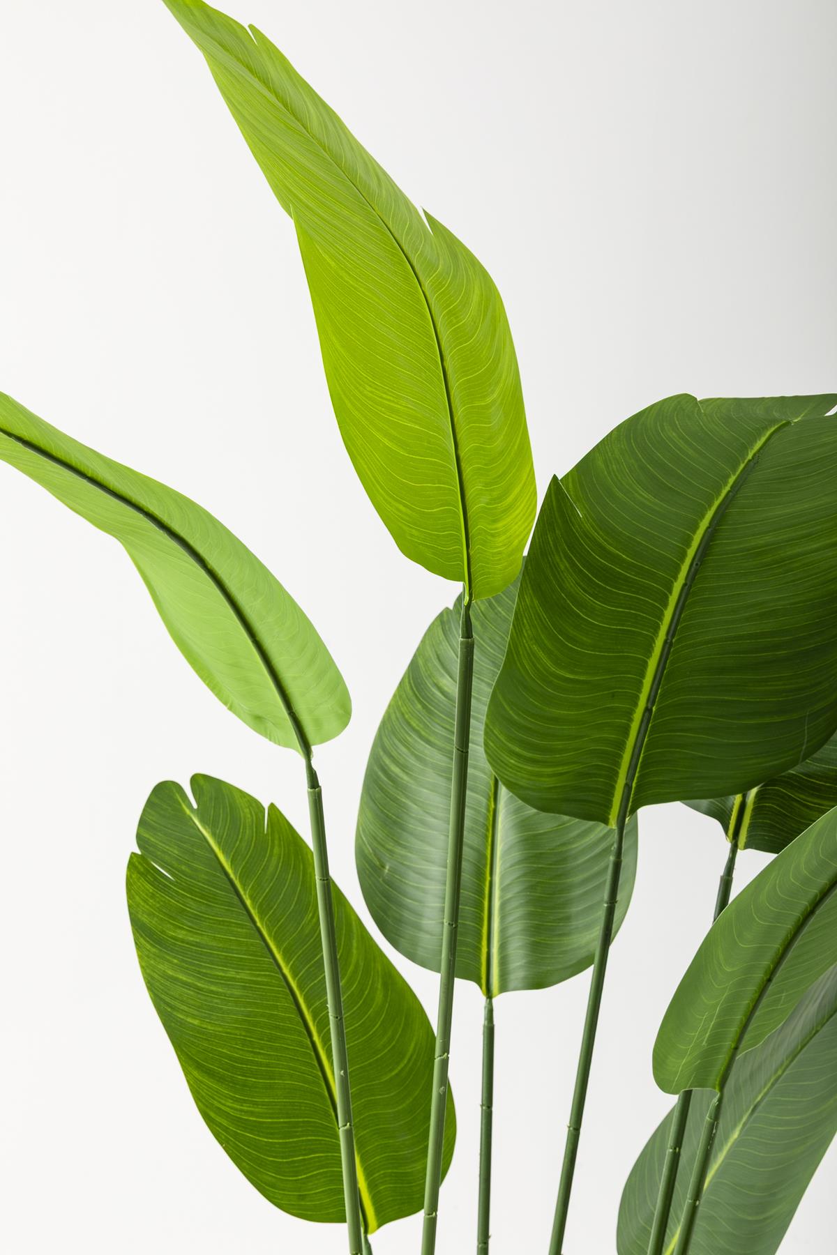 Yapay Starliçe Ağacı 180 Cm Geniş Yapraklı Kahverengi Gold Metal Saksı