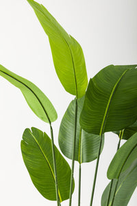 Yapay Starliçe Ağacı 180 Cm Geniş Yapraklı Kahverengi Gold Metal Saksı