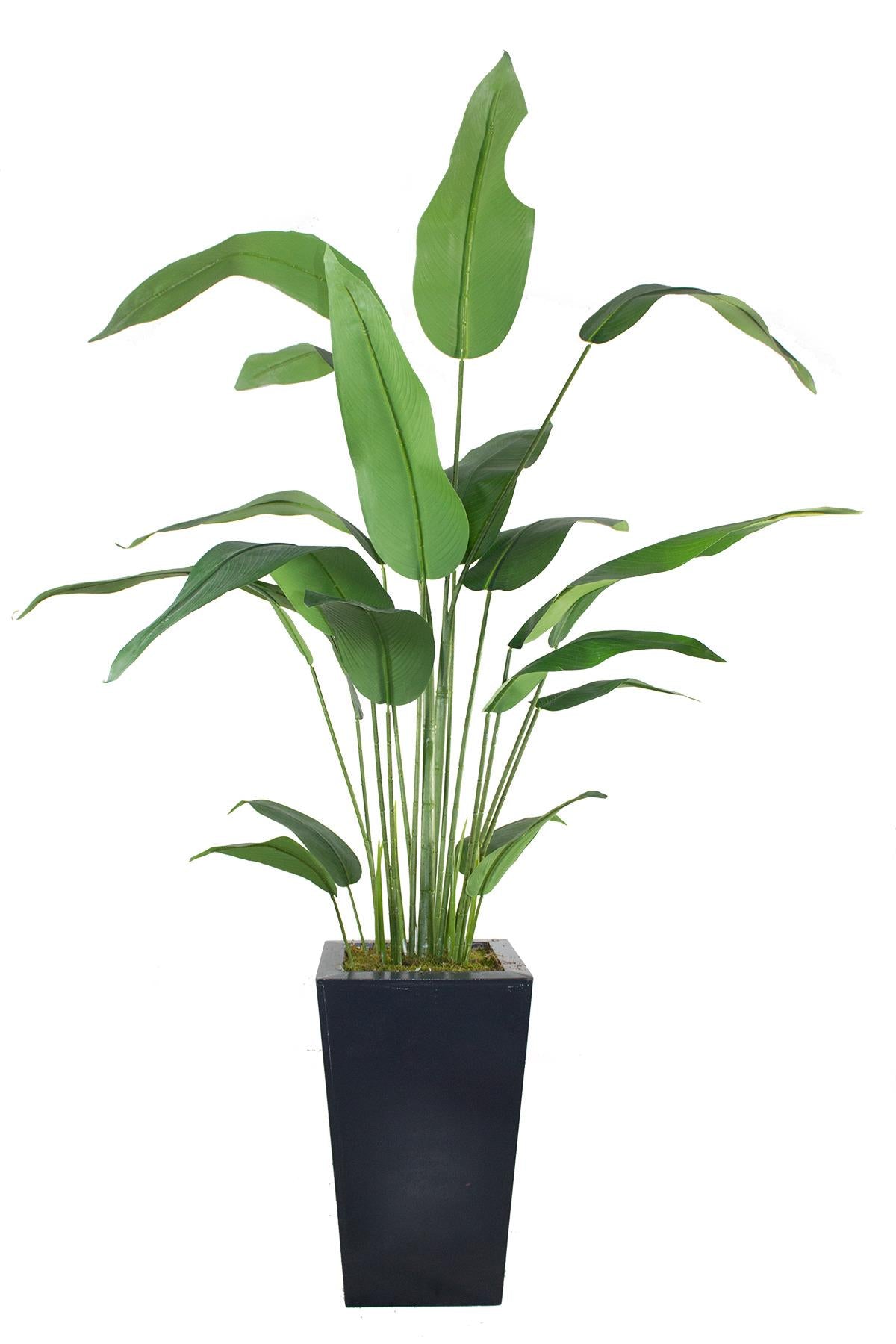 Yapay Starliçe Ağacı 185 cm Ahşap Saksı