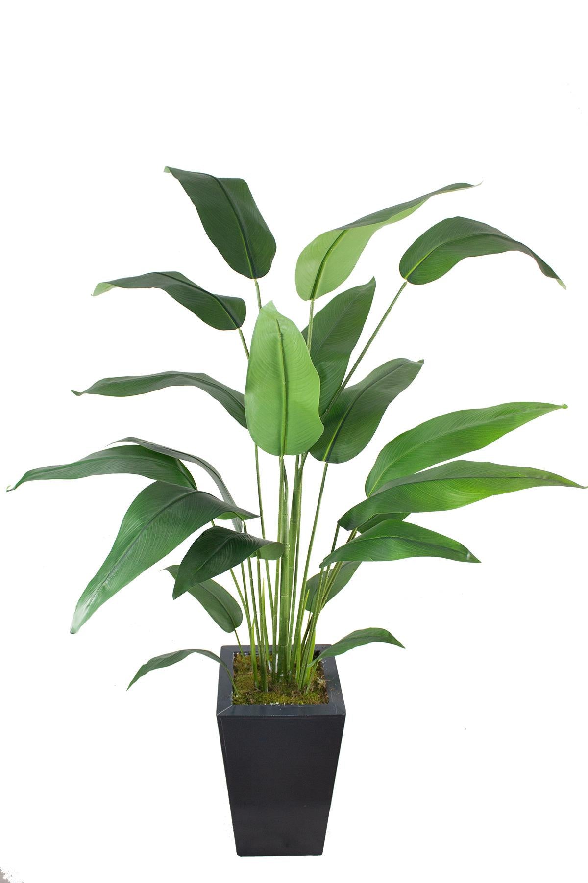 Yapay Starliçe Ağacı 185 cm Ahşap Saksı