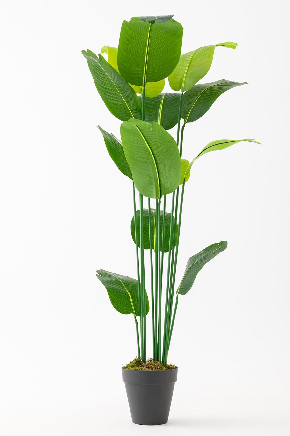 Yapay Starliçe Ağacı 190 Cm 13 Dal