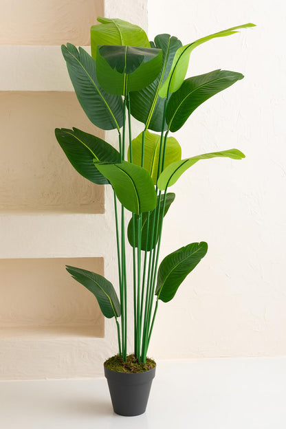 Yapay Starliçe Ağacı 190 Cm 13 Dal