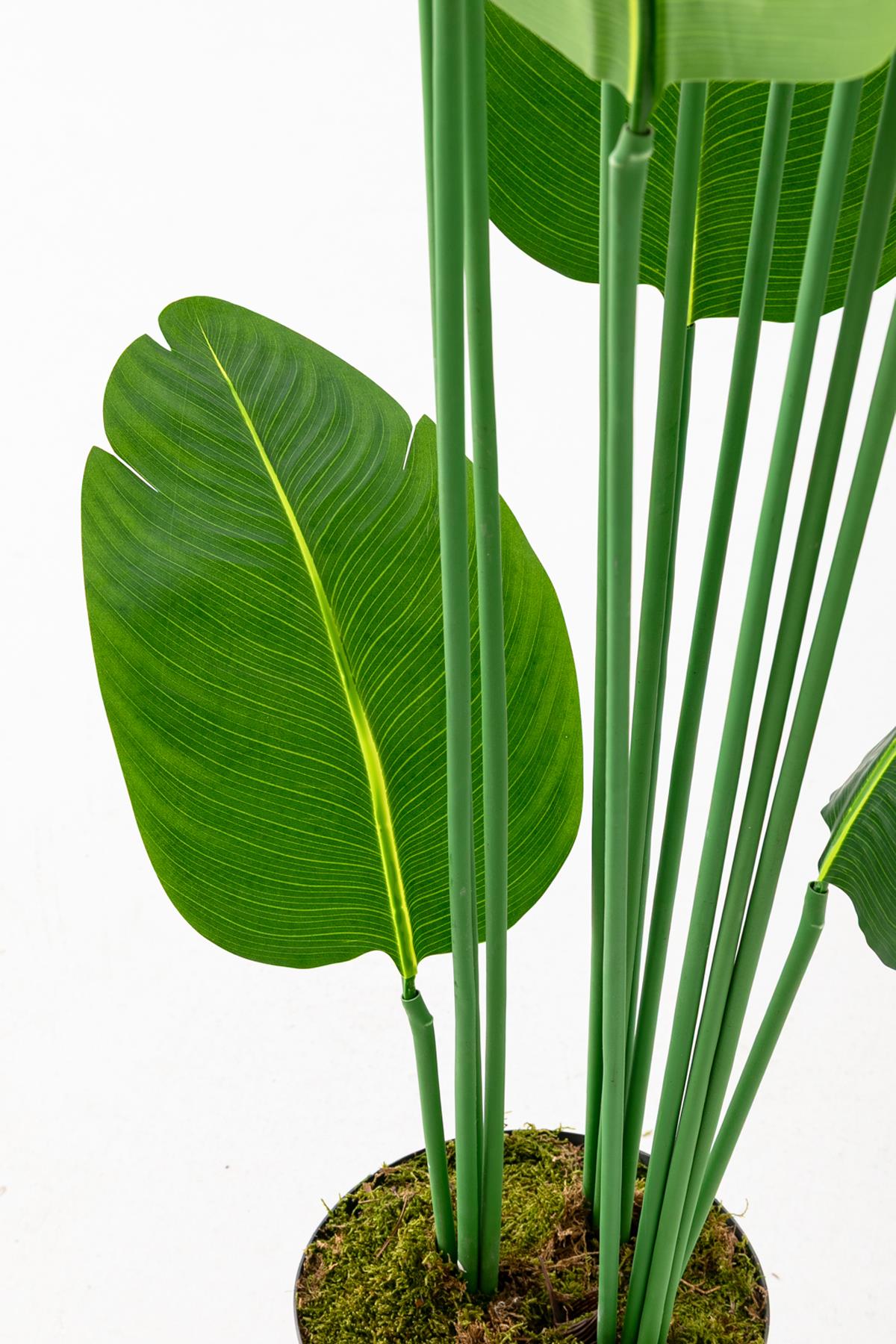 Yapay Starliçe Ağacı 190 Cm 13 Dal