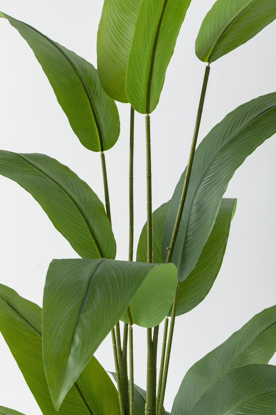 Yapay Starliçe Ağacı 200 Cm Fiber Saksılı