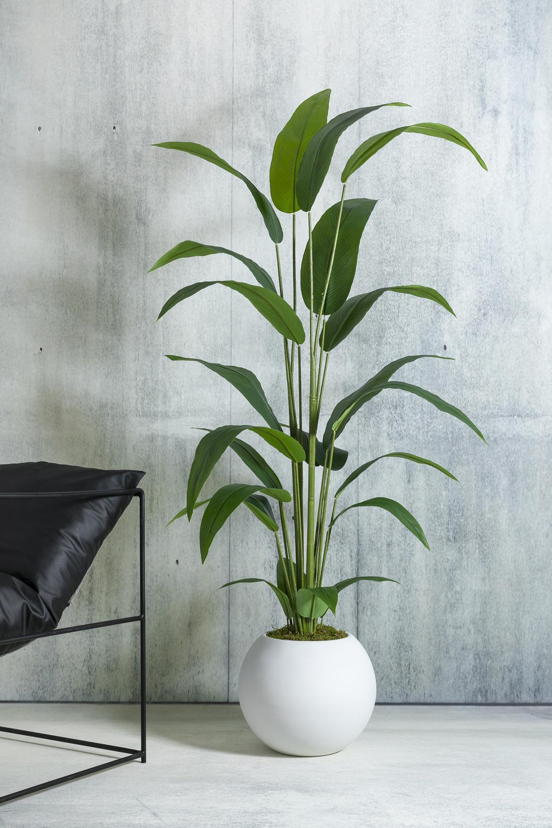 Yapay Starliçe Ağacı 200 Cm Fiber Saksılı