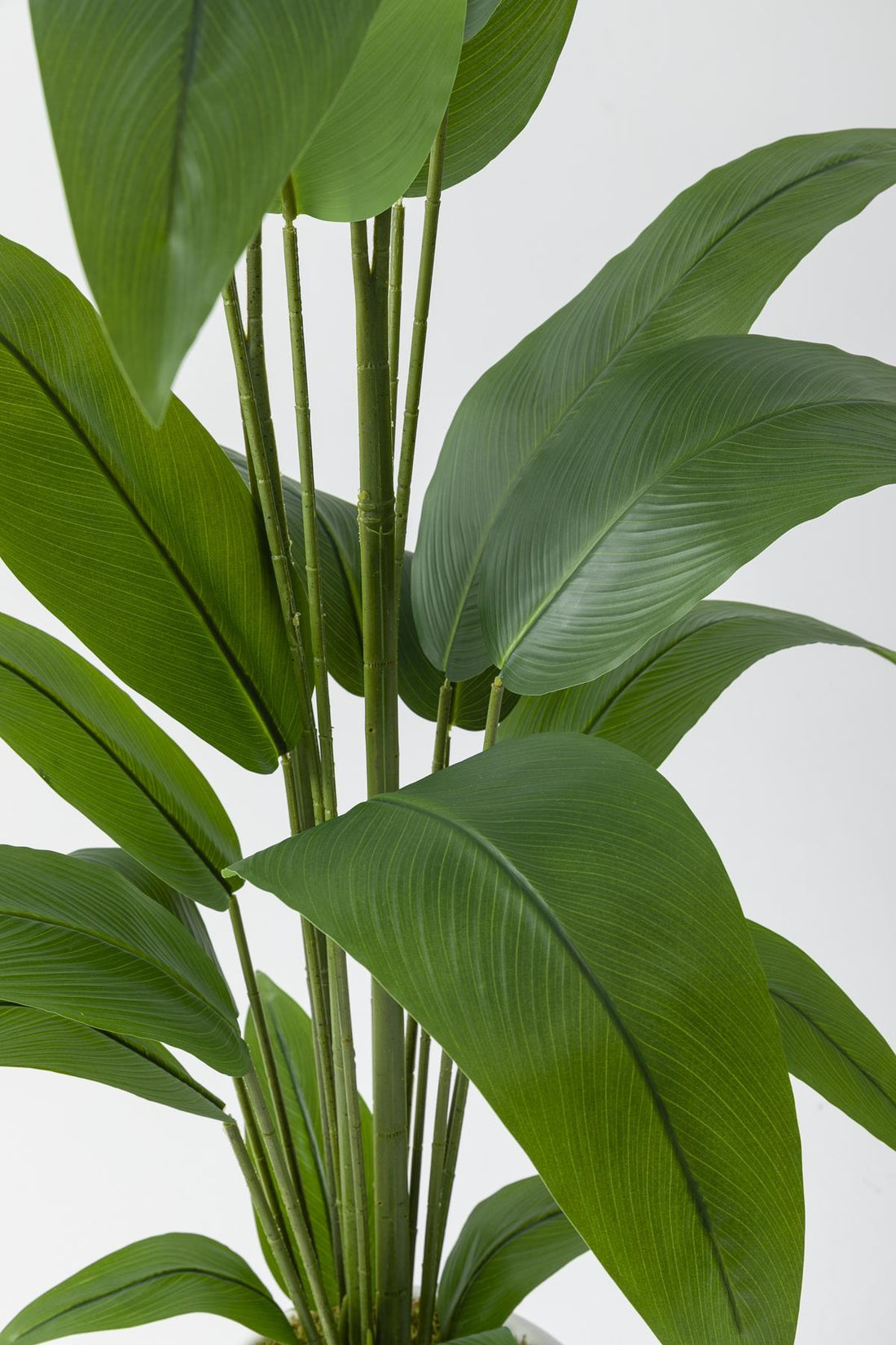 Yapay Starliçe Ağacı 200 Cm Fiber Saksılı