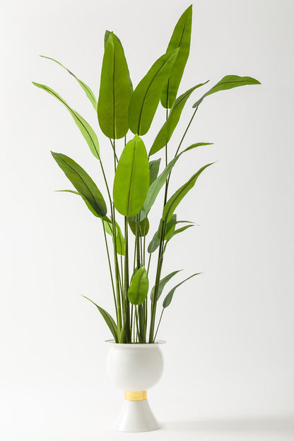 Yapay Starliçe Ağacı 220 Cm 24 Yaprak Beyaz 
