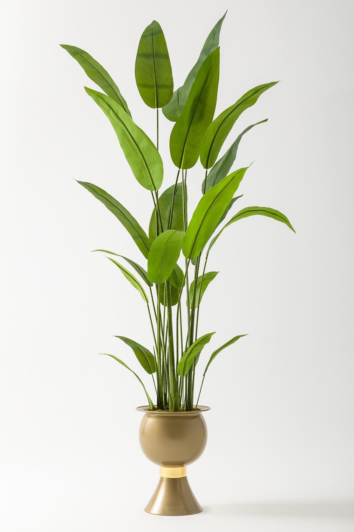 Yapay Starliçe Ağacı 220 Cm 24 Yaprak Gold #renk_gold