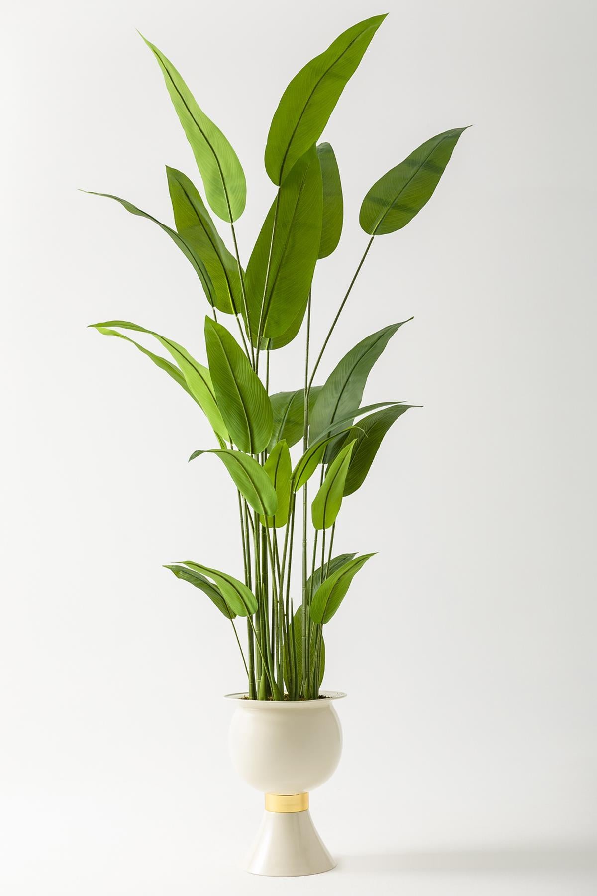 Yapay Starliçe Ağacı 220 Cm 24 Yaprak Krem #renk_krem