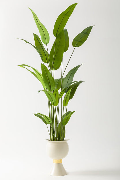 Yapay Starliçe Ağacı 220 Cm 24 Yaprak Krem 