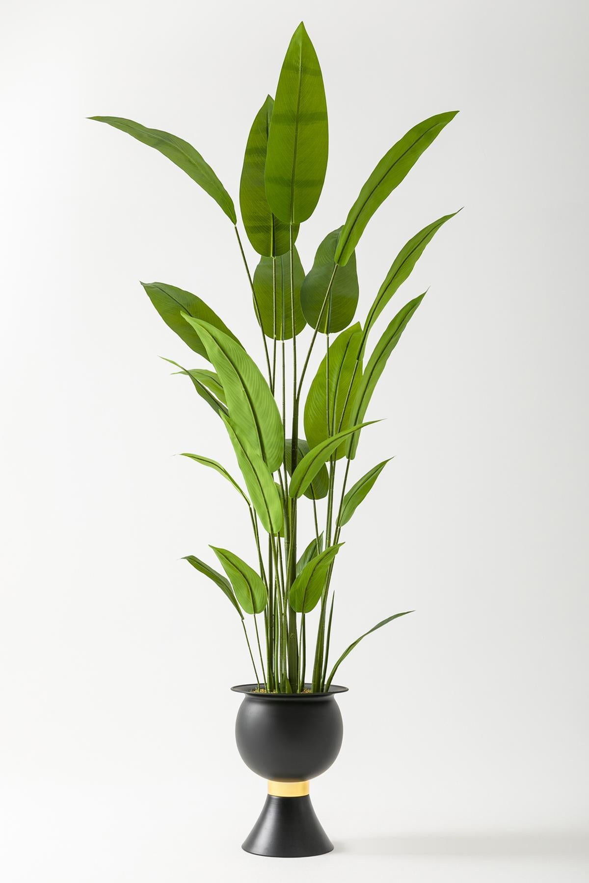 Yapay Starliçe Ağacı 220 Cm 24 Yaprak Siyah #renk_siyah