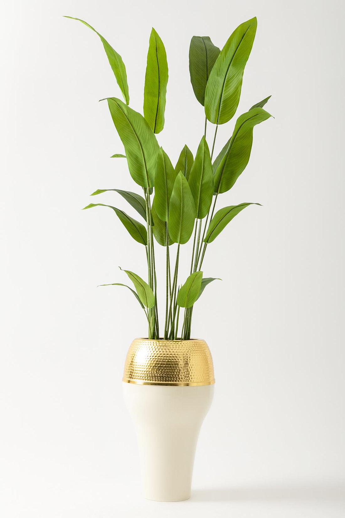 Yapay Starliçe Ağacı 230 Cm Krem Gold Geniş Bilezkli Damla Saksı