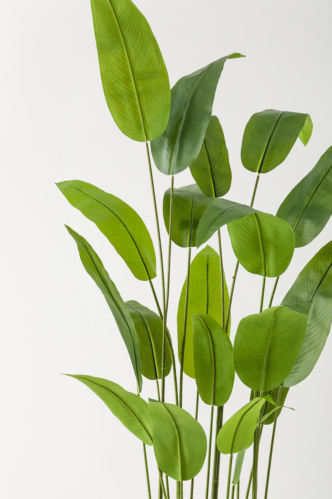 Yapay Starliçe Ağacı 230 Cm Siyah Eskitme Damla Saksı