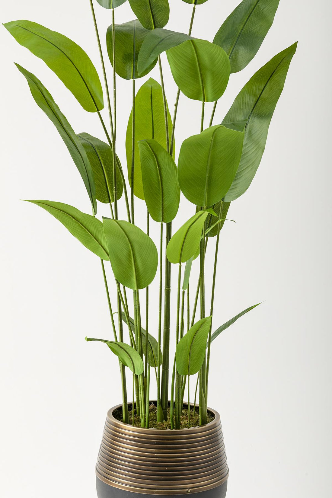 Yapay Starliçe Ağacı 230 Cm Siyah Eskitme Damla Saksı