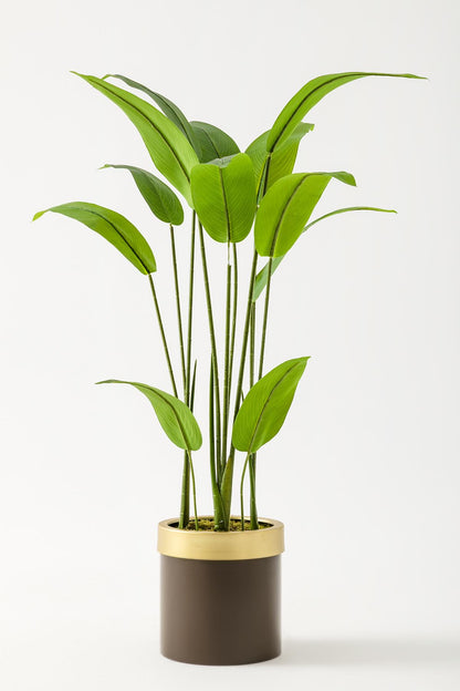 Yapay Starliçe Ağacı