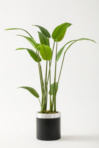 Yapay Starliçe Ağacı