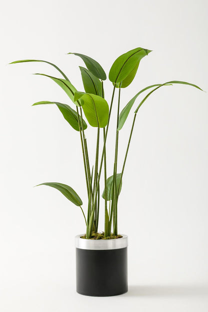 Yapay Starliçe Ağacı