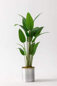 Yapay Starliçe Ağacı