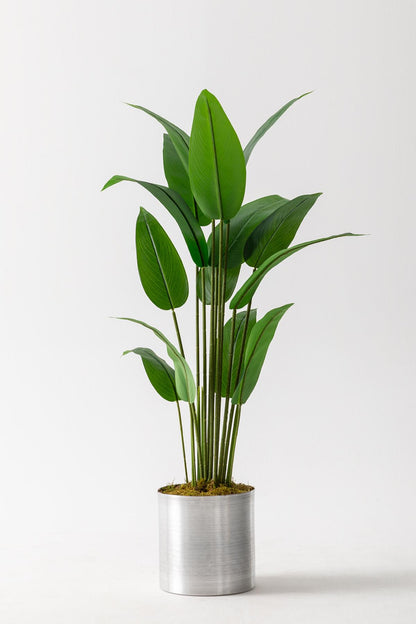 Yapay Starliçe Ağacı