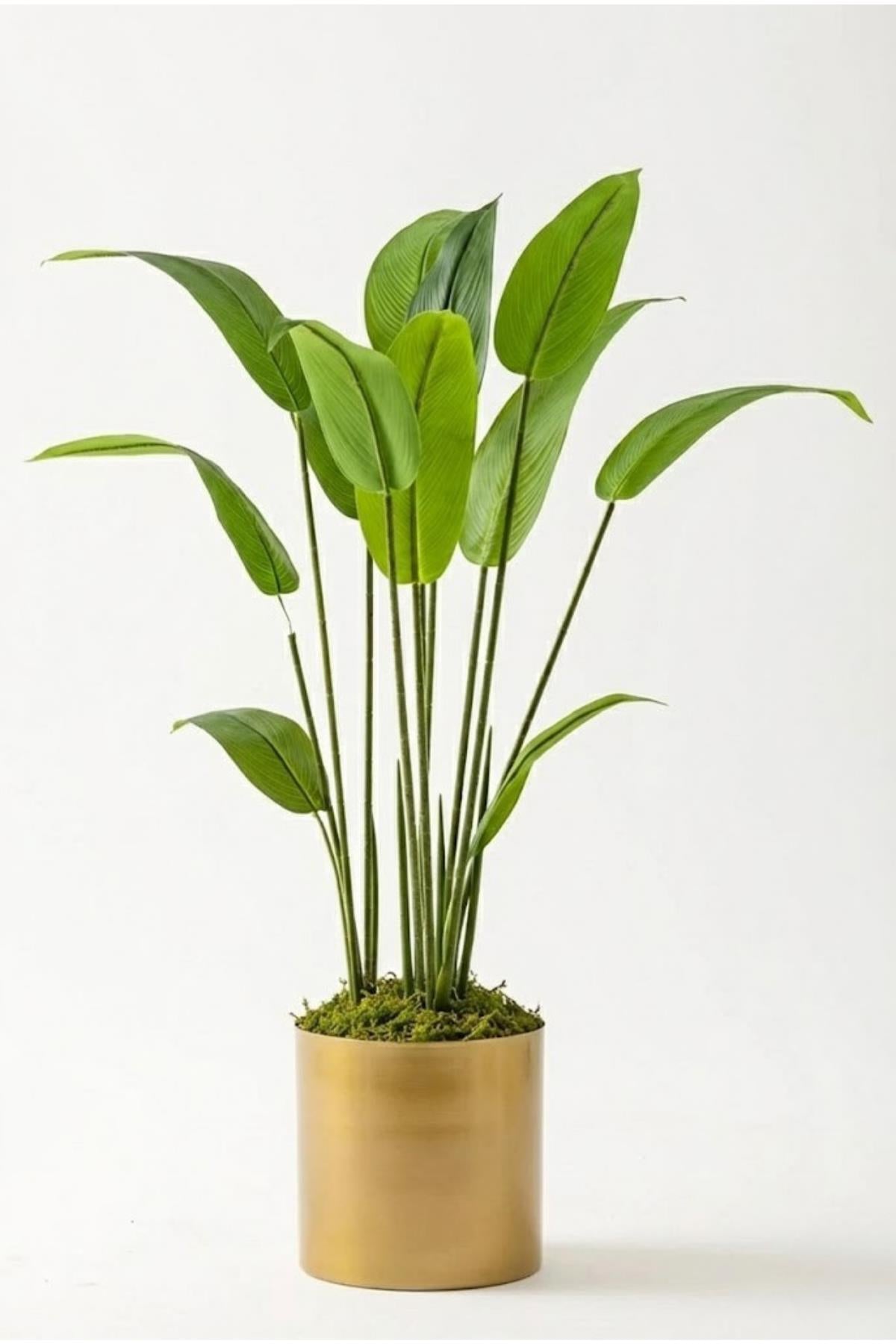 Yapay Starliçe Ağacı