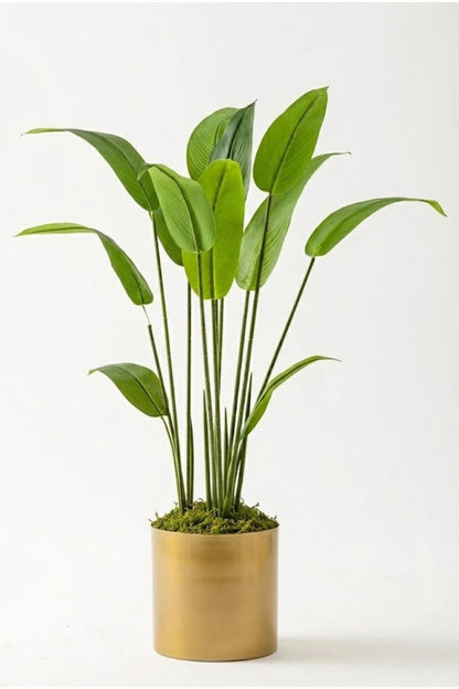 Yapay Starliçe Ağacı