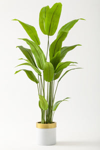 Yapay Starliçe Ağacı