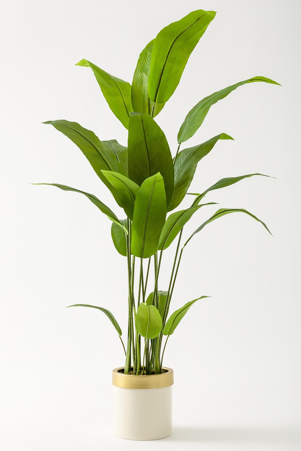 Yapay Starliçe Ağacı