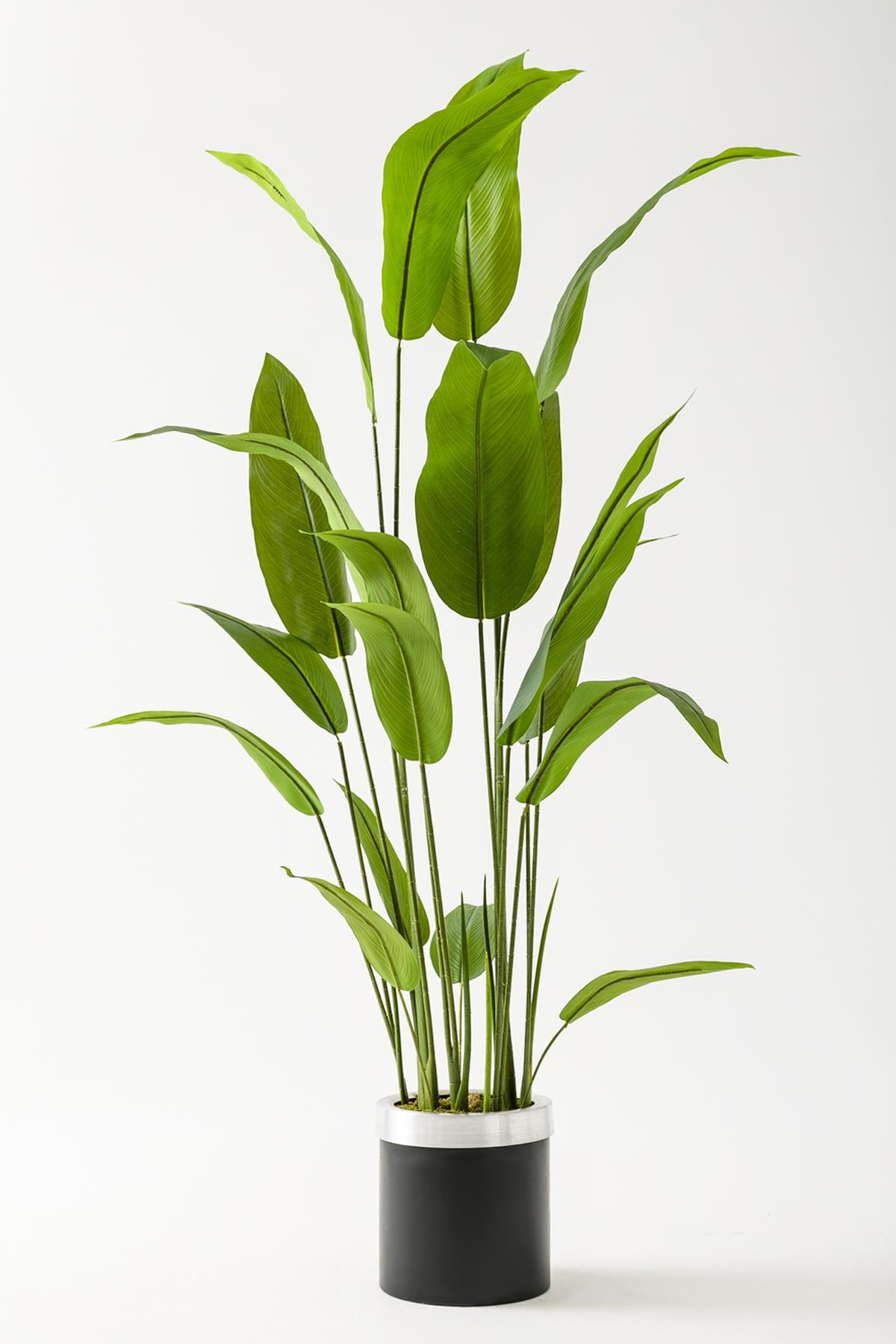 Yapay Starliçe Ağacı