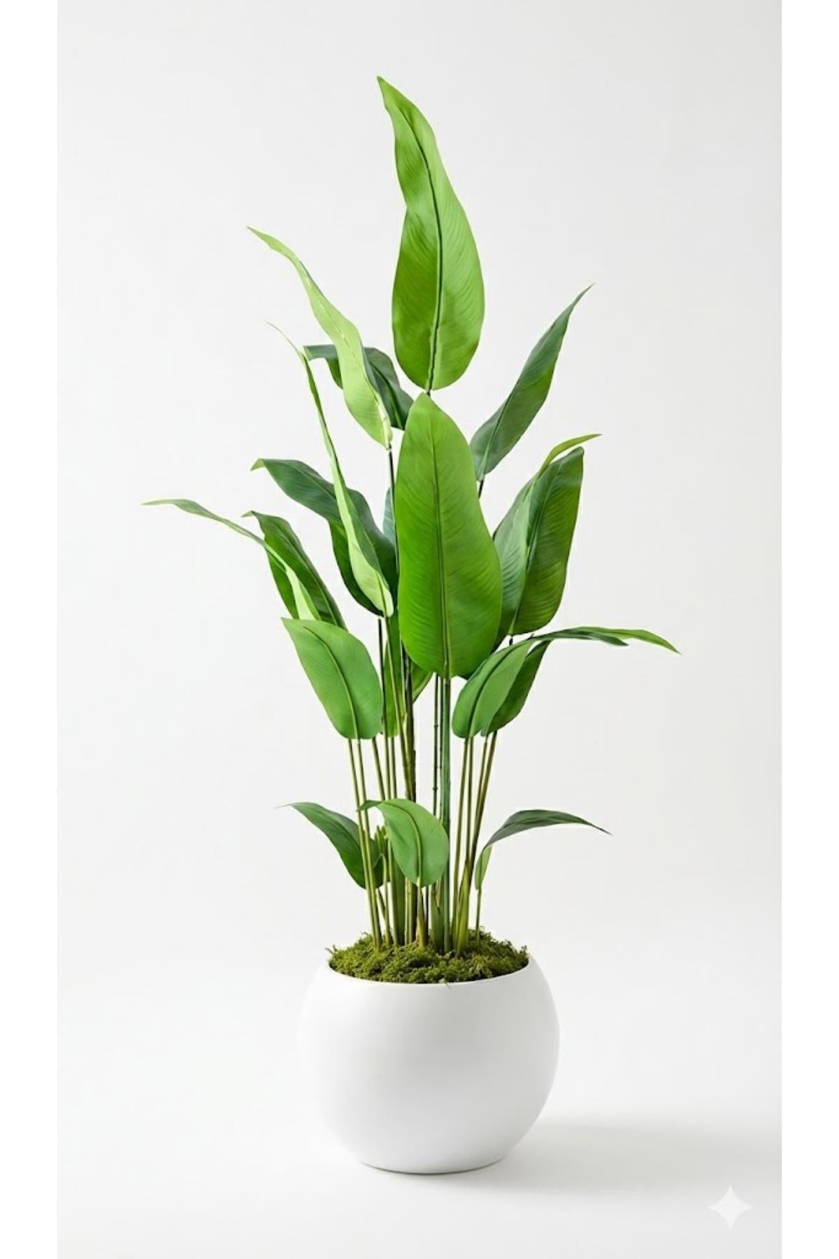 Yapay Starliçe Ağacı