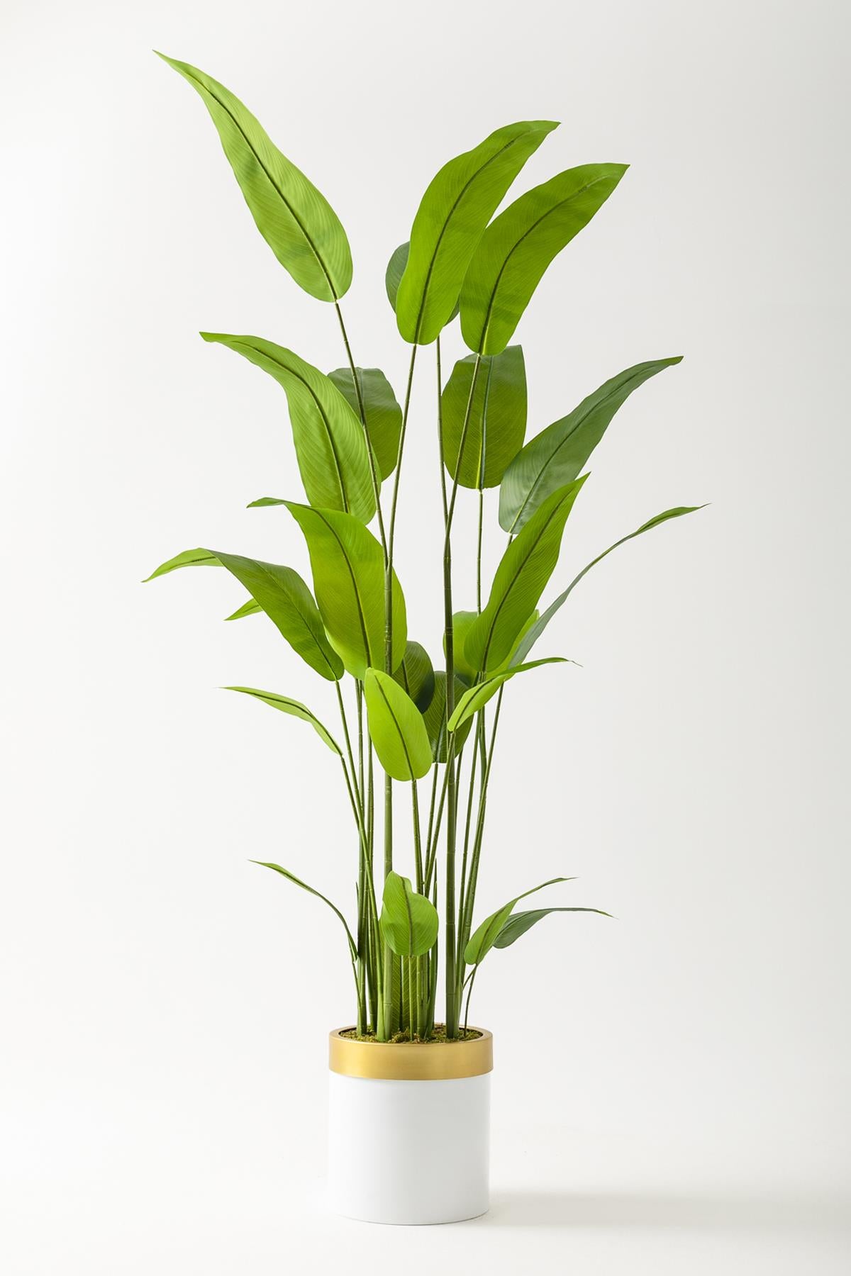 Yapay Starliçe Ağacı