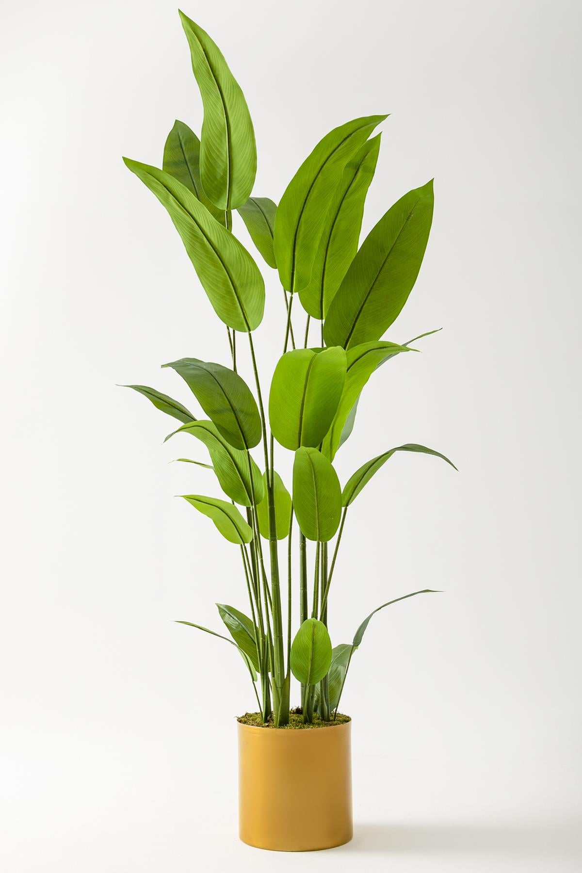 Yapay Starliçe Ağacı