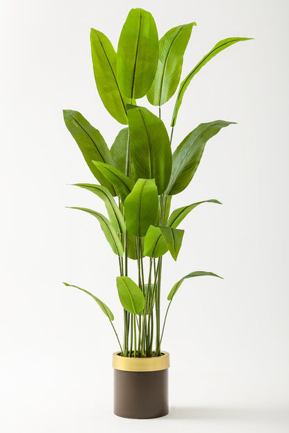 Yapay Starliçe Ağacı